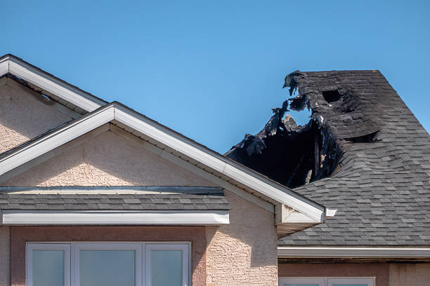 Top rated local Odor Removal specialists in Wilson, WI